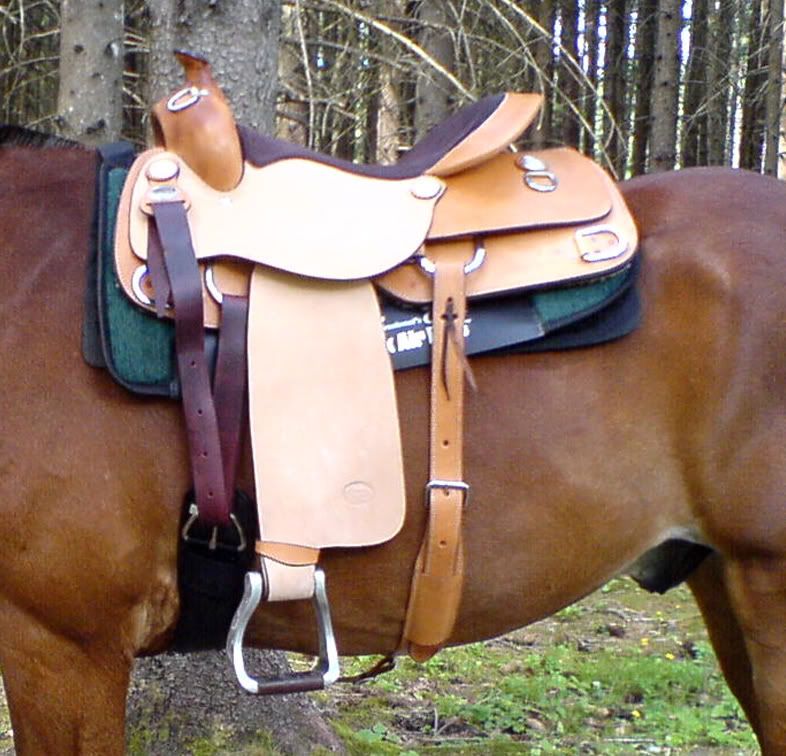 Cuir Suédé Couleur roughout Selle Western Sacs made in USA Horse Tack